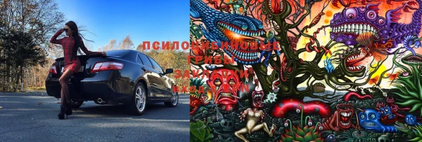 прущие грибы Баксан