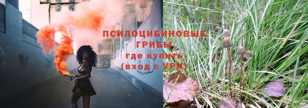 сатива Балабаново
