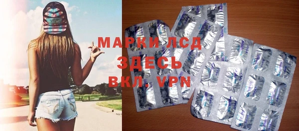 прущие грибы Баксан